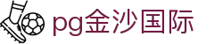pg金沙国际_pg国际游戏官网_官网最新入口